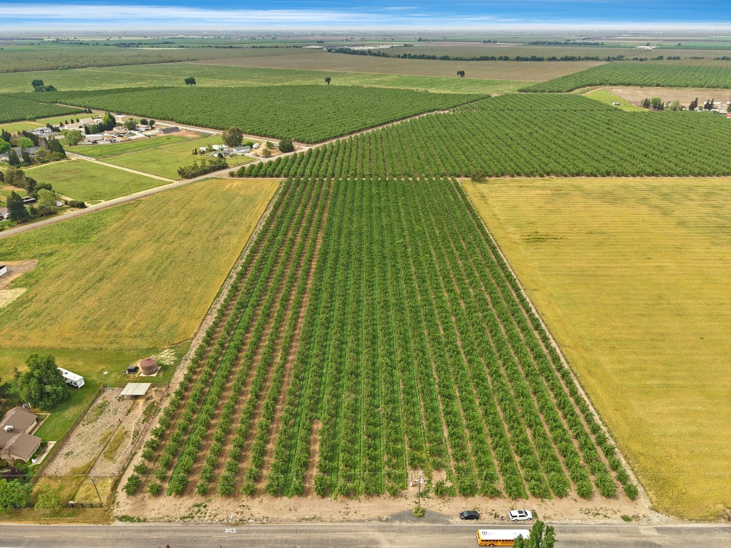 19753 East Oakwood Road Stockton, CA 95215 - Photo 19 of 19 a view of an outdoor space