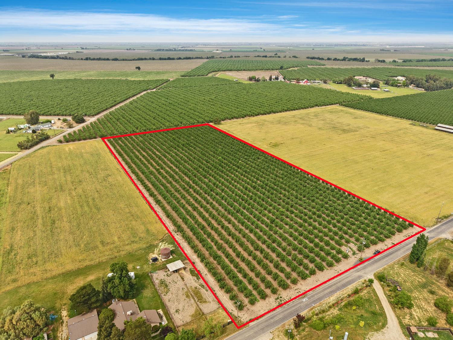 19753 East Oakwood Road Stockton, CA 95215 - Photo 3 of 19 an aerial view of swimming pool with a yard