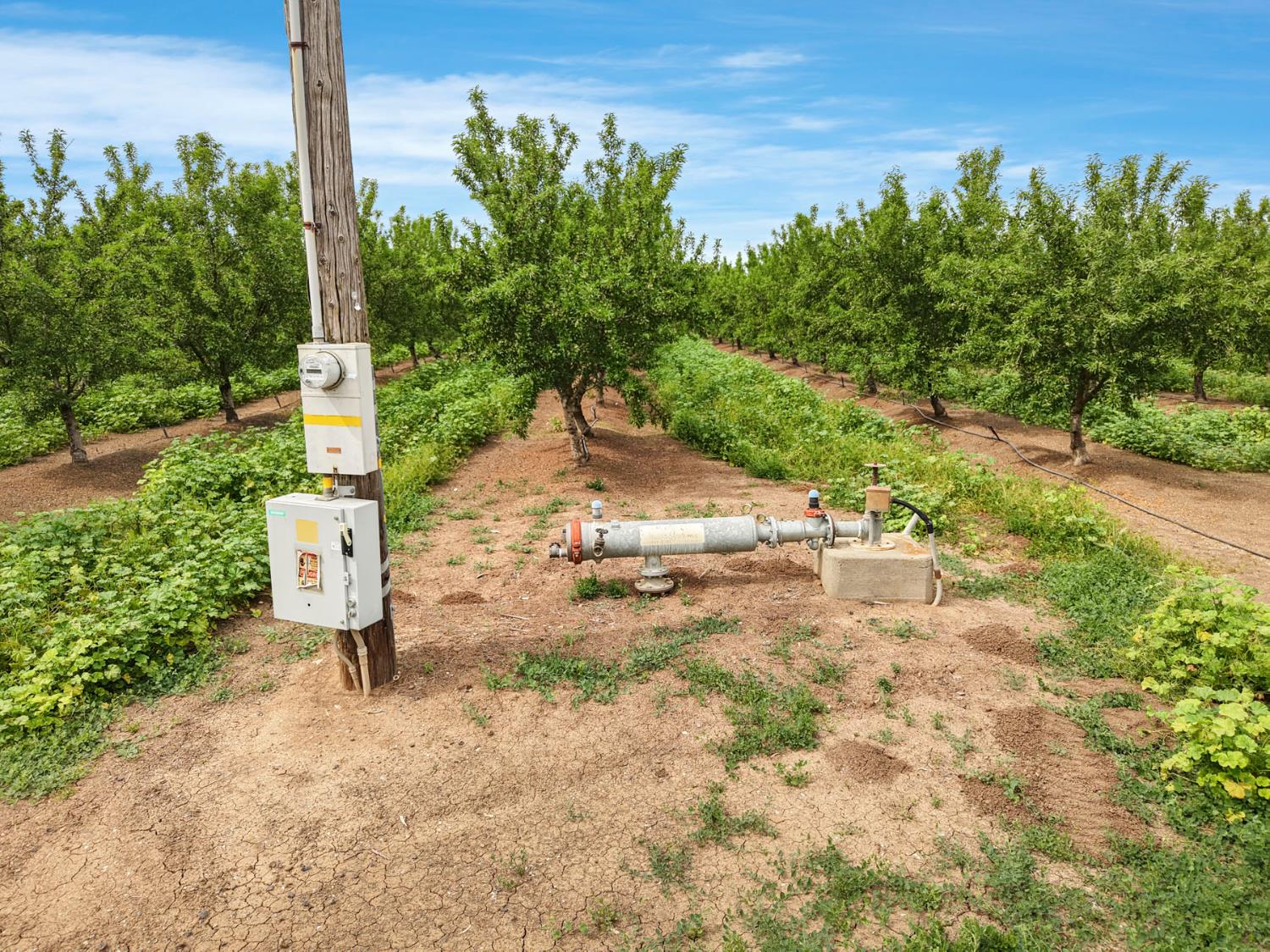 19753 East Oakwood Road Stockton, CA 95215 - Photo 10 of 19 a view of a street with a tree