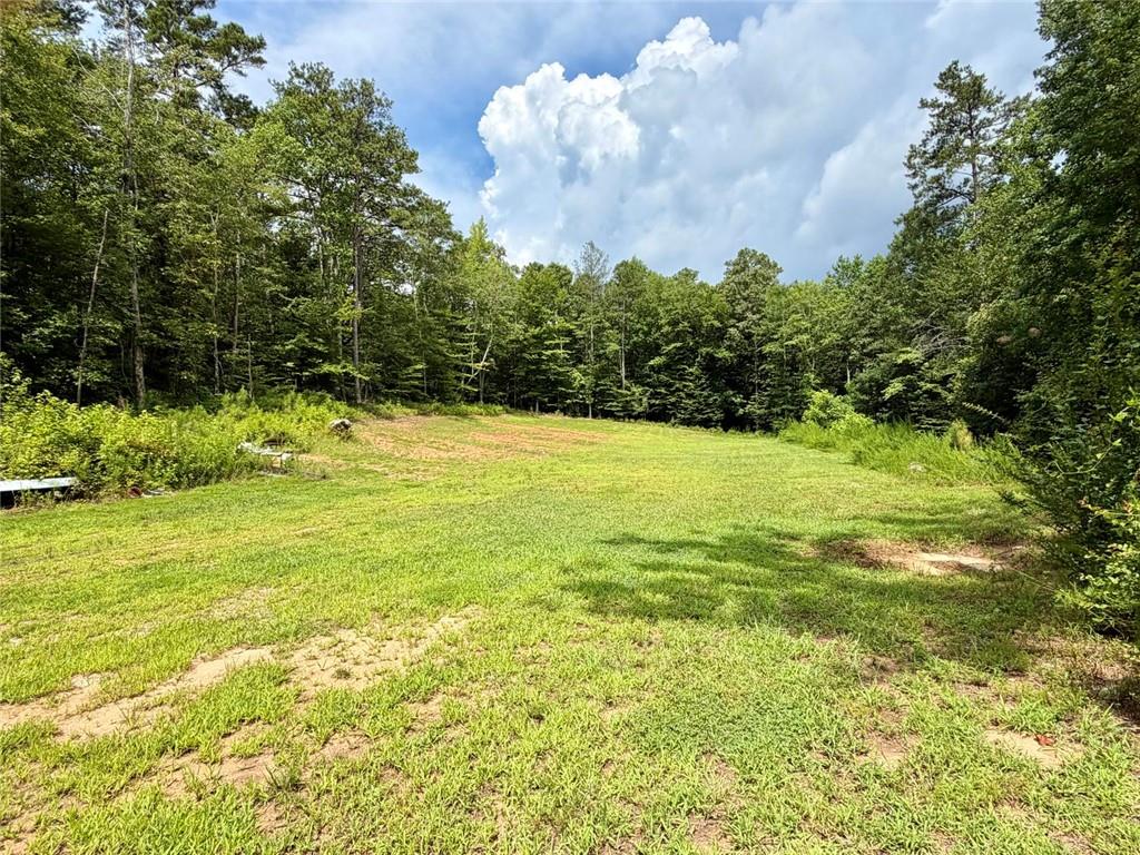 4411 Post Road Winston, GA 30187 - Photo 68 of 71