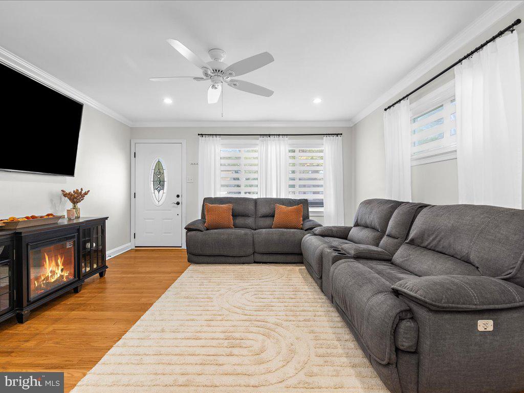 Gallery Image 6