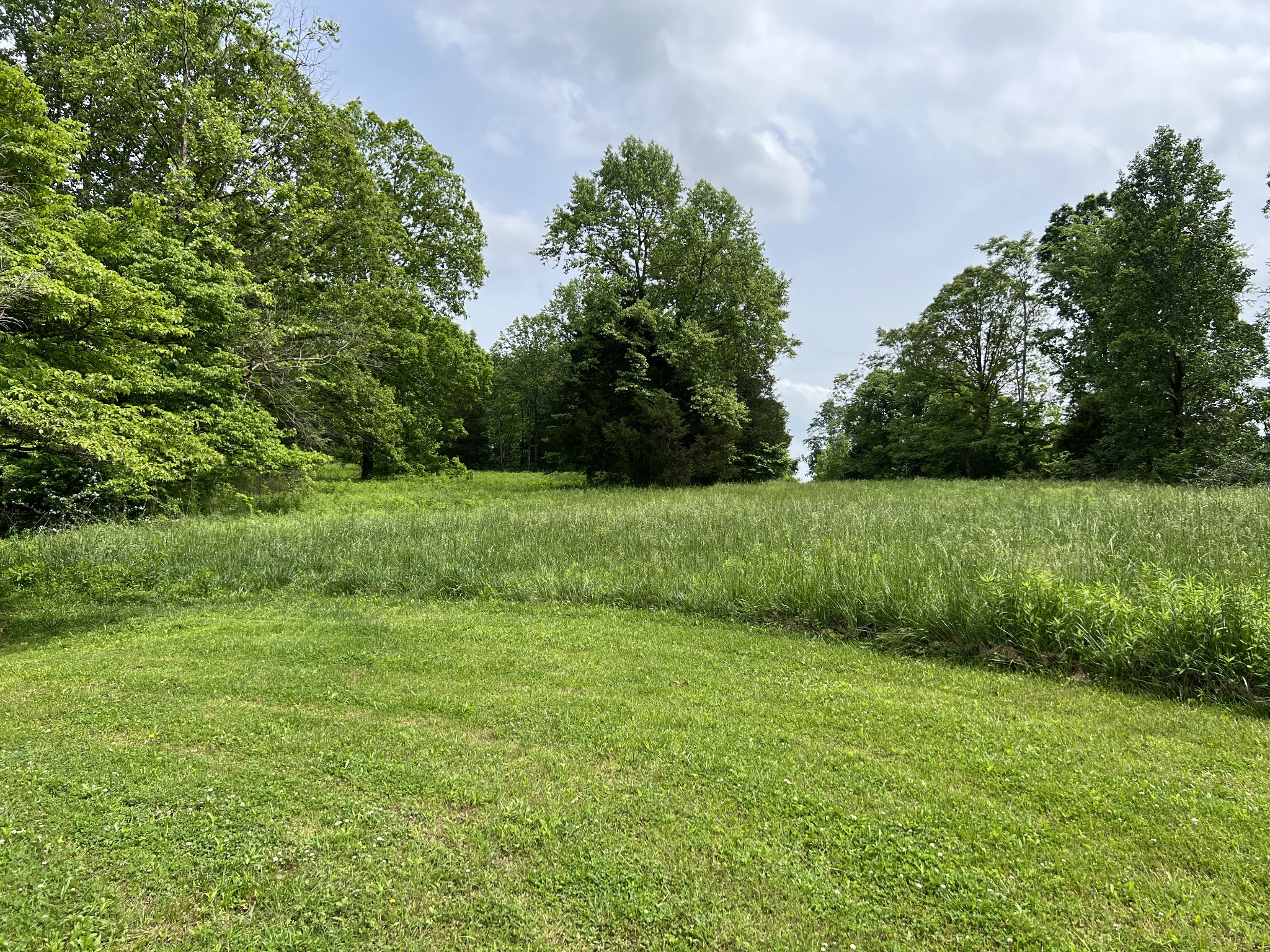 651 Allen Chapel Road Hilham, TN 38568 - Photo 12 of 48 a view of a grassy field with trees in the background