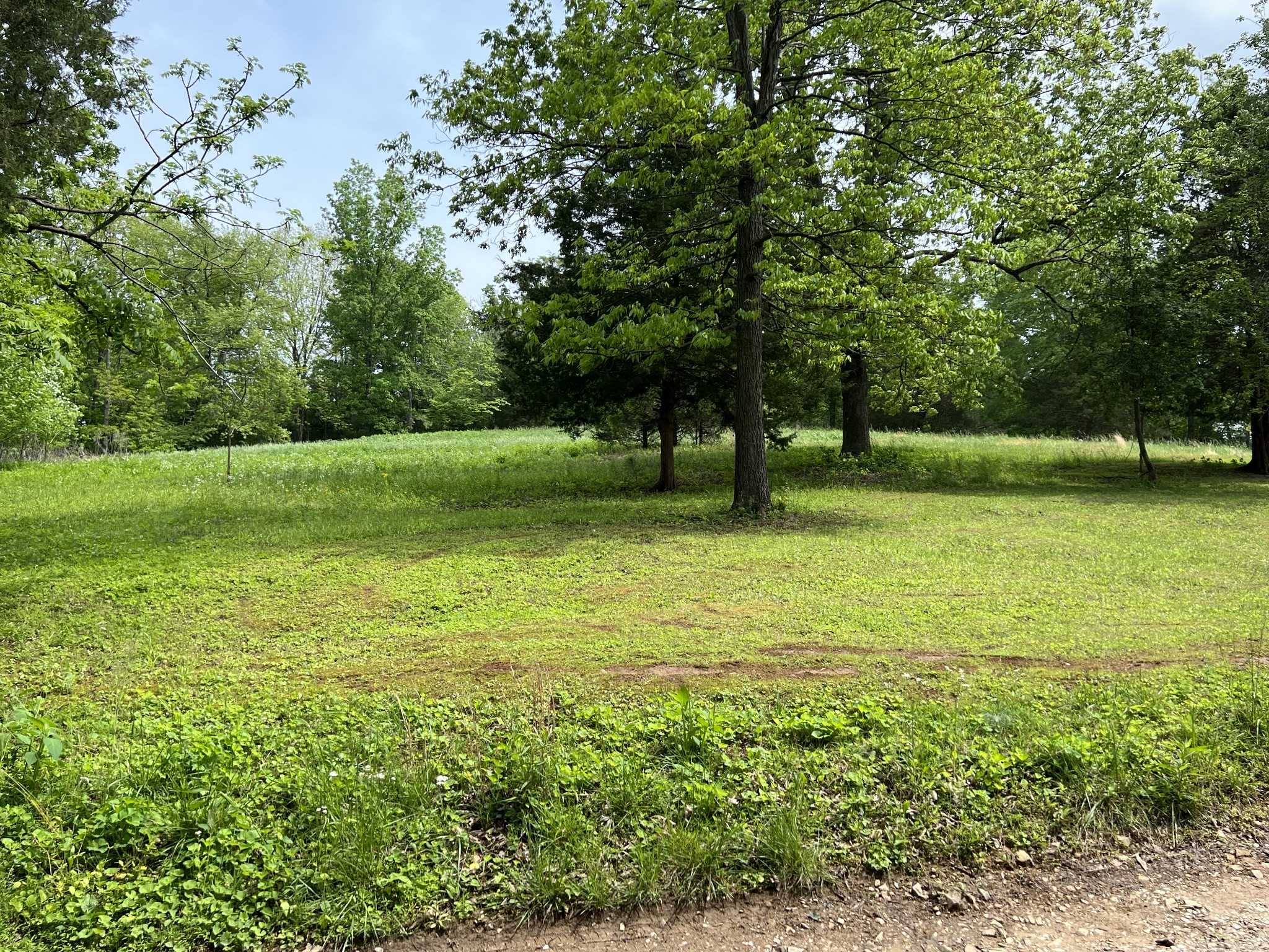 651 Allen Chapel Road Hilham, TN 38568 - Photo 15 of 48 a view of a trees in a yard
