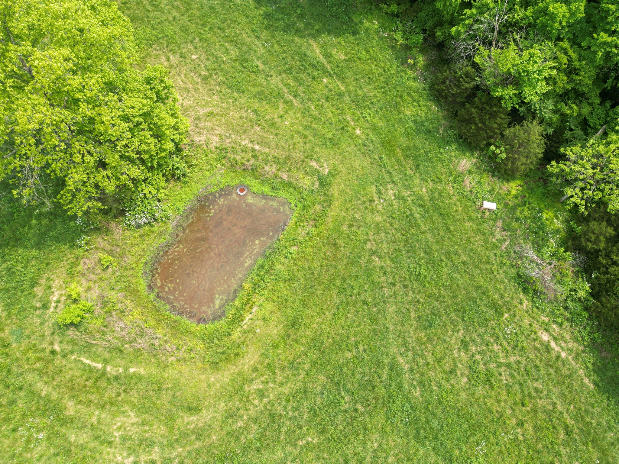 651 Allen Chapel Road Hilham, TN 38568 - Photo 34 of 48 a view of a backyard
