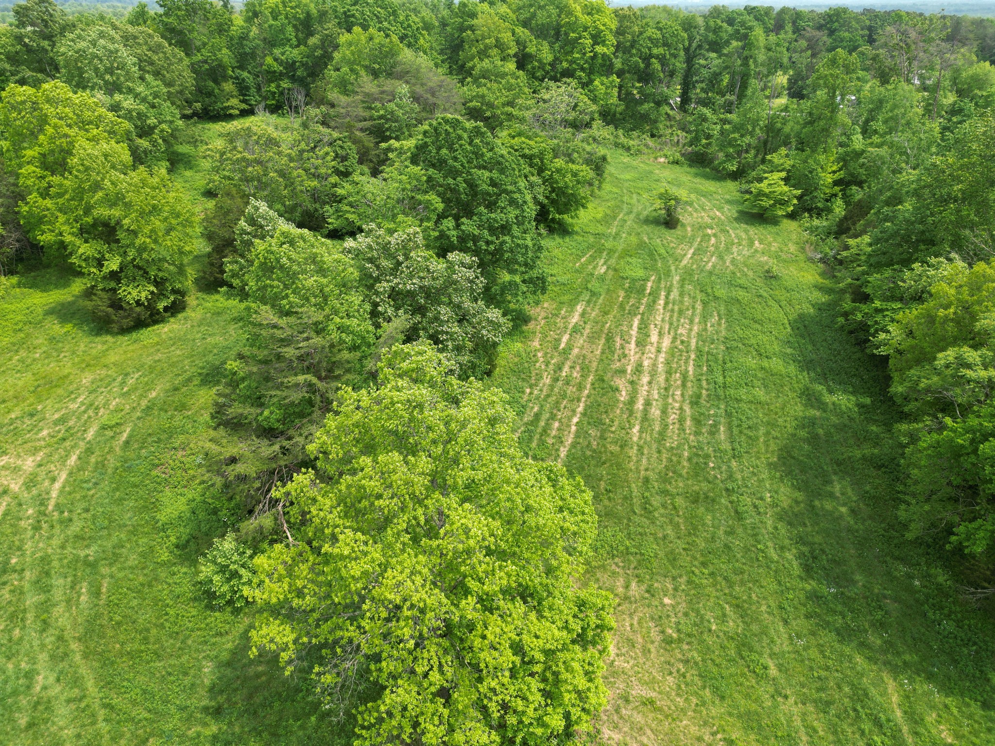 651 Allen Chapel Road Hilham, TN 38568 - Photo 42 of 48 a view of yard