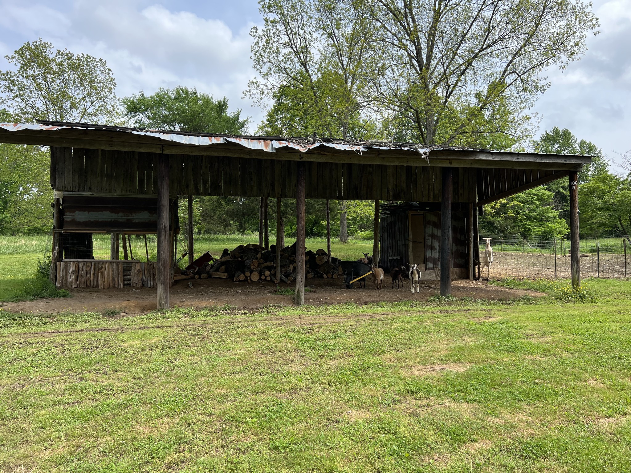 651 Allen Chapel Road Hilham, TN 38568 - Photo 8 of 48 a backyard of a house with table and chairs