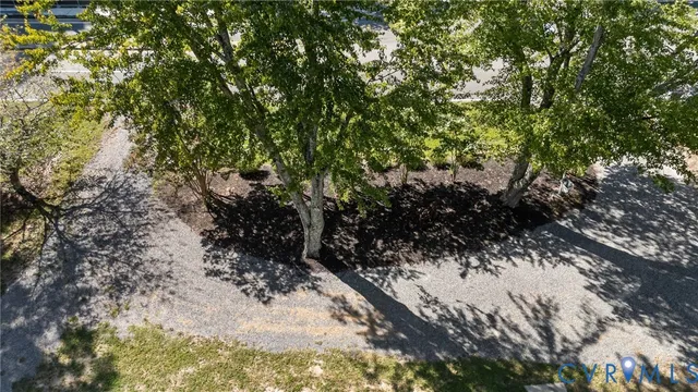 a view of a tree in a yard