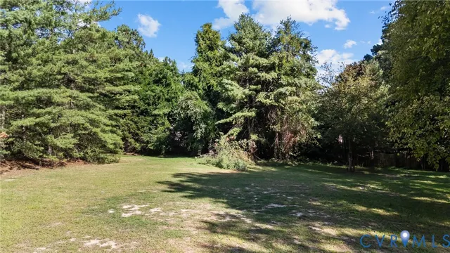 a view of a yard with a tree