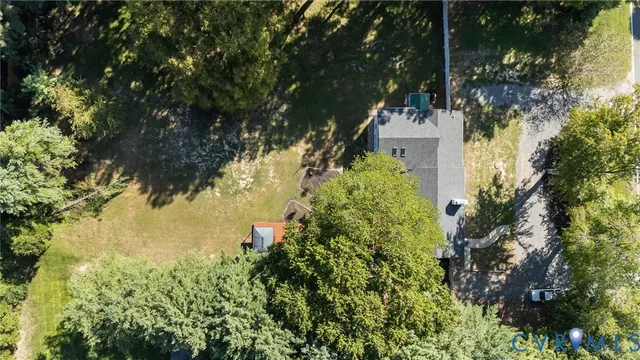 a view of a garden with plants
