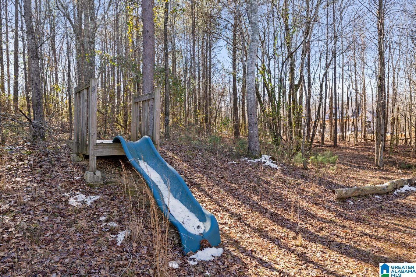 750 Putman Road Oneonta, AL 35121 - Photo 26 of 30 Gallery Image 26