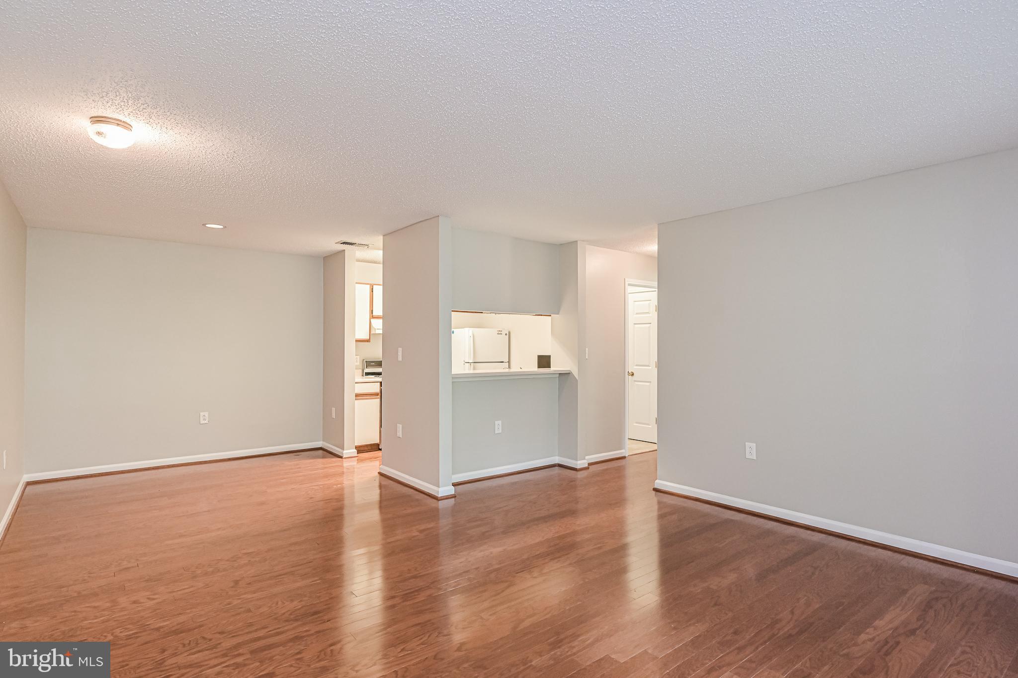 20952 Timber Ridge Terrace, Unit 103 Ashburn, VA 20147 - Photo 6 of 24 Living room with see thru to kitchen