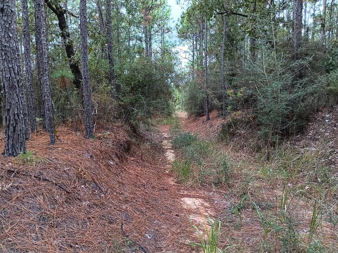 0 Sibley Creek Road Daphne, AL 36527 - Photo 4 of 10 View