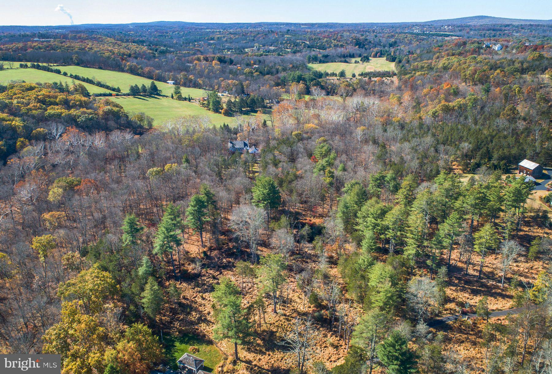 13 Lily Valley Road Erwinna, PA 18920 - Photo 11 of 18 a view of a forest with trees and houses