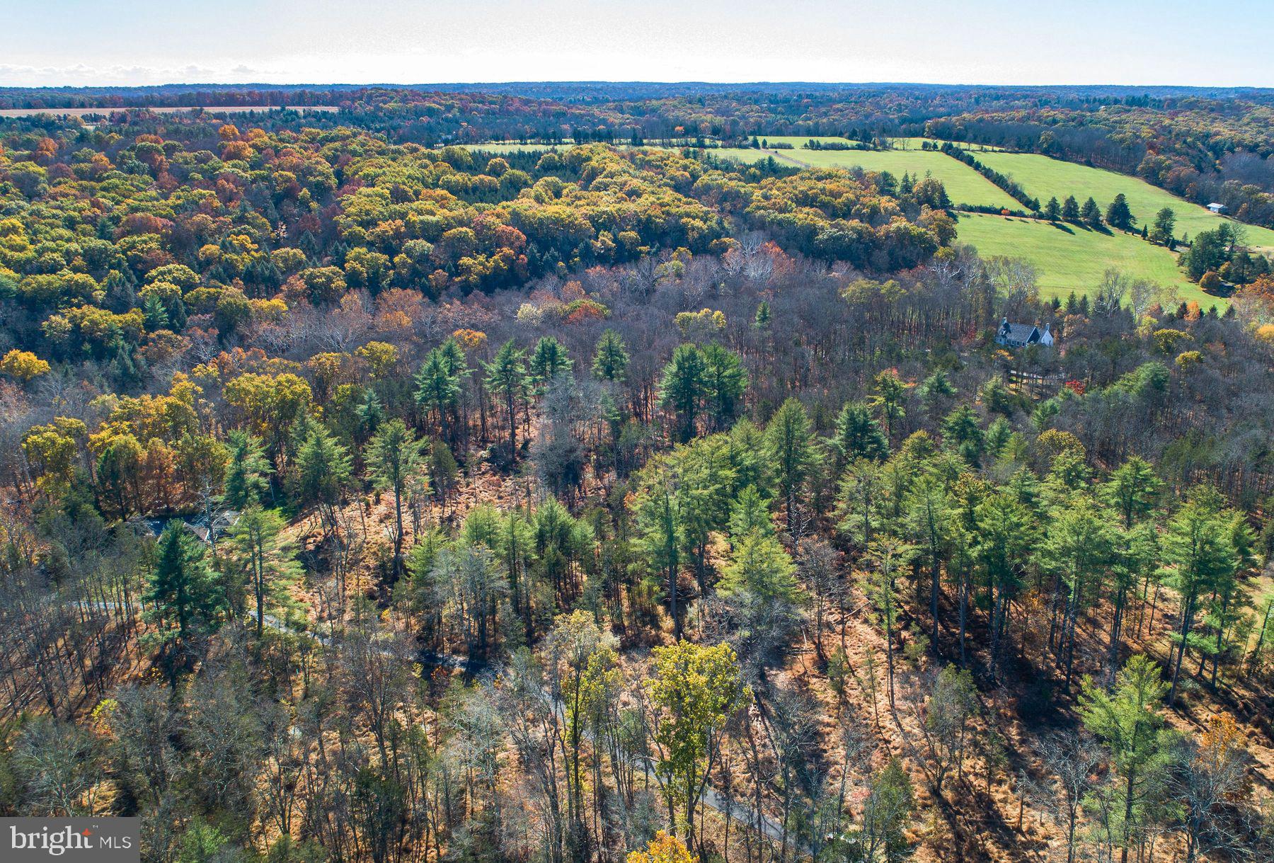 13 Lily Valley Road Erwinna, PA 18920 - Photo 12 of 18 a view of a city with lush green forest