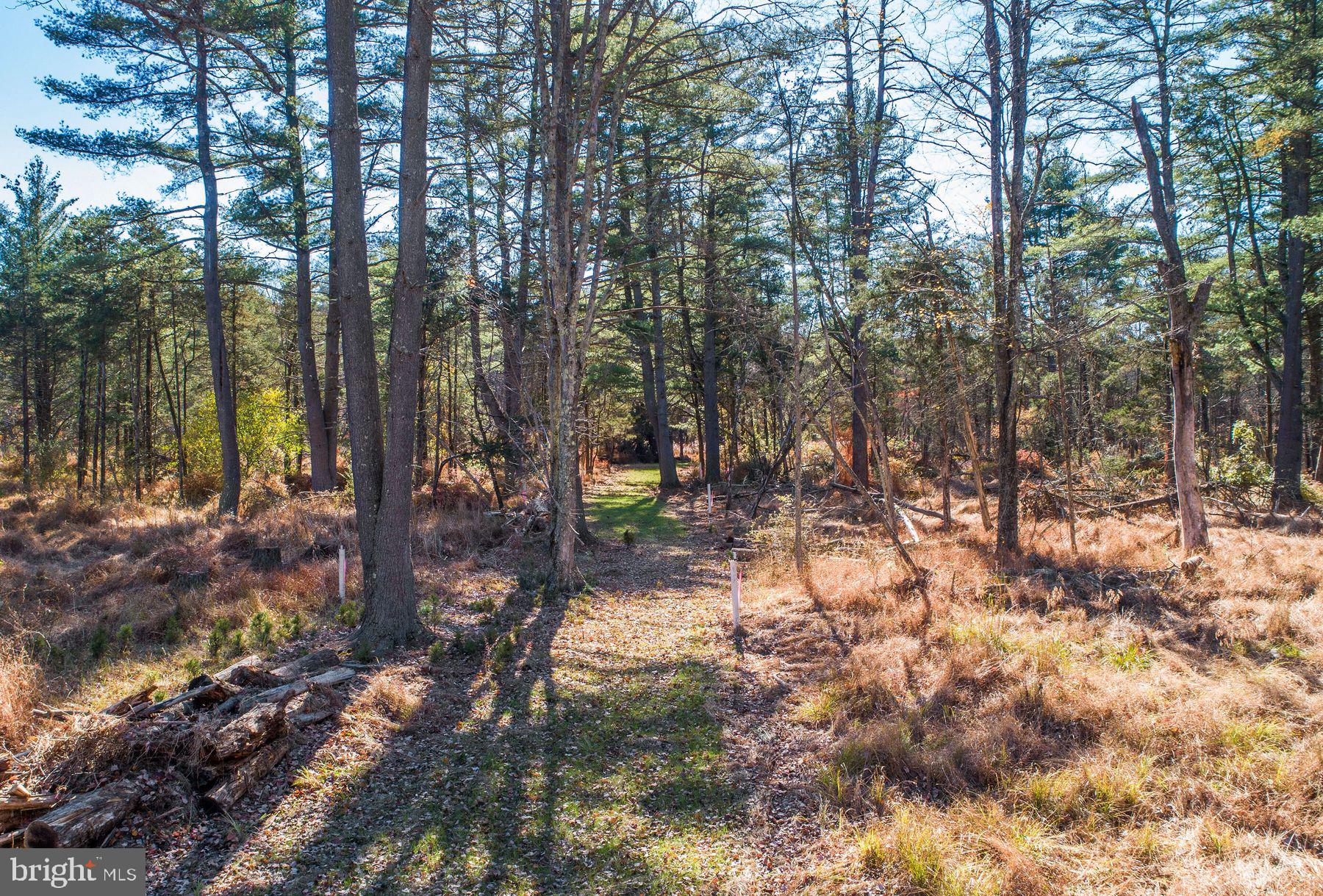 13 Lily Valley Road Erwinna, PA 18920 - Photo 13 of 18