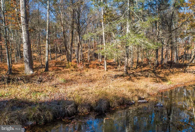 a view of city and mountain