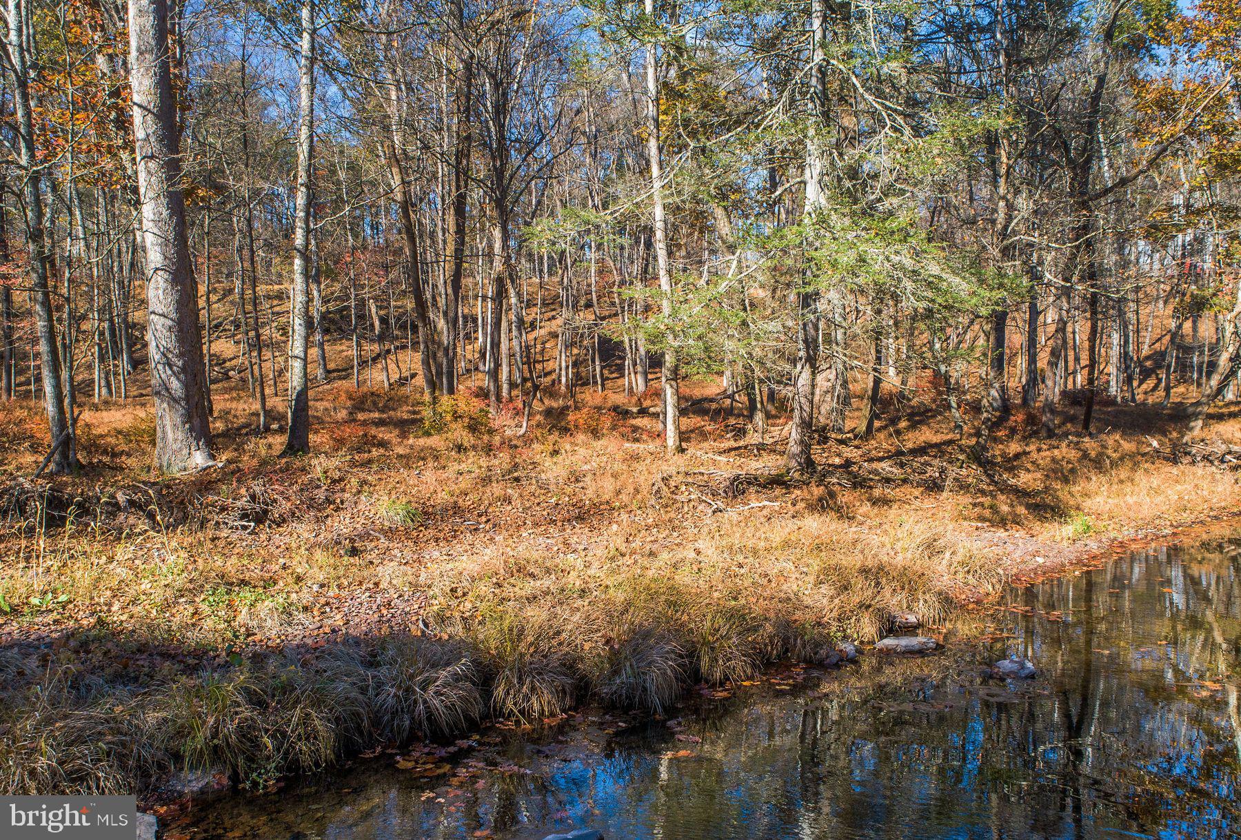 13 Lily Valley Road Erwinna, PA 18920 - Photo 15 of 18