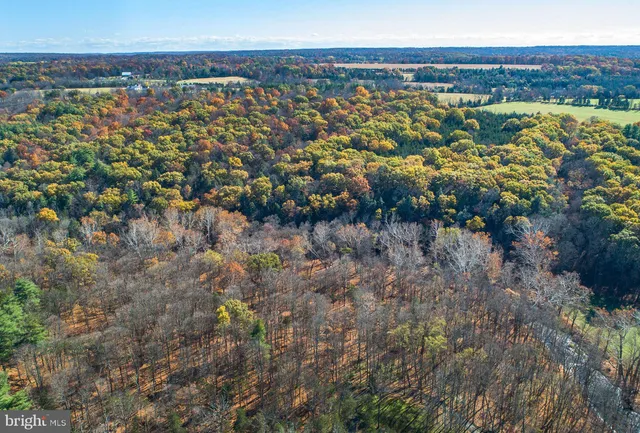 a view of outdoor space with lots of trees