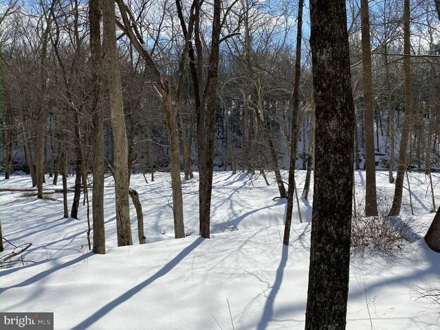 $775,000 | 13 Lily Valley Road, Erwinna, PA 18920