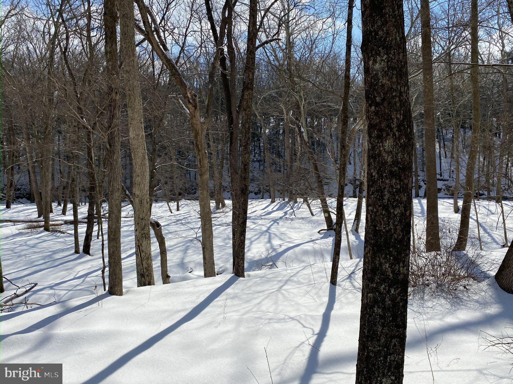 13 Lily Valley Road Erwinna, PA 18920 - Photo 18 of 18 a view of outdoor space with lots of trees