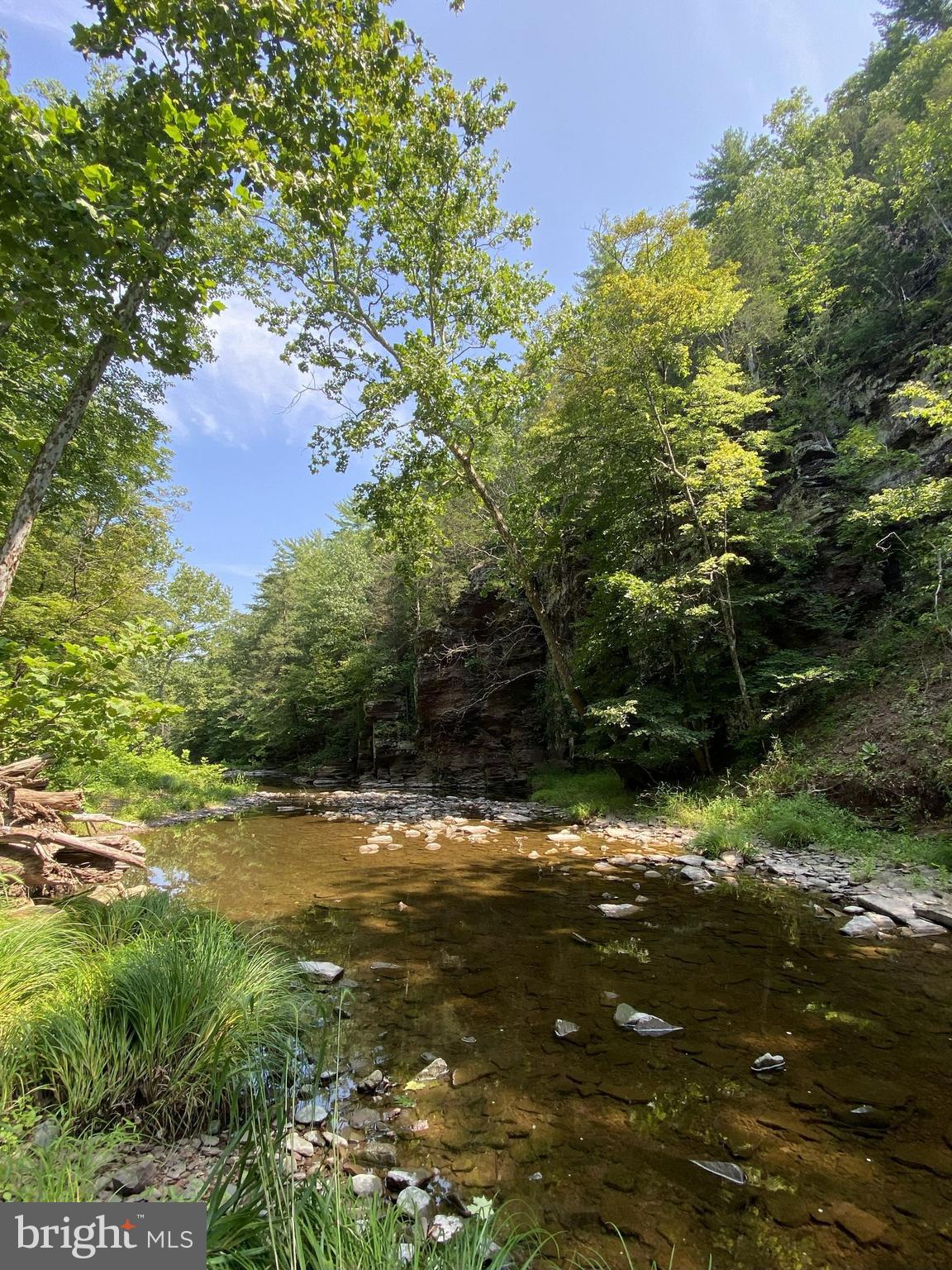 13 Lily Valley Road Erwinna, PA 18920 - Photo 2 of 18 a view of a lake