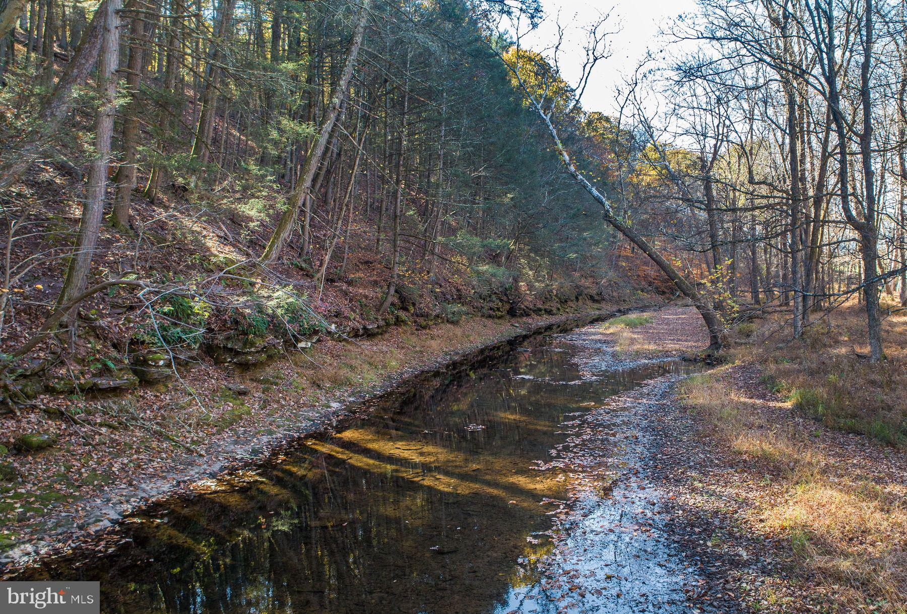 13 Lily Valley Road Erwinna, PA 18920 - Photo 3 of 18 a backyard of a house with a yard and large trees