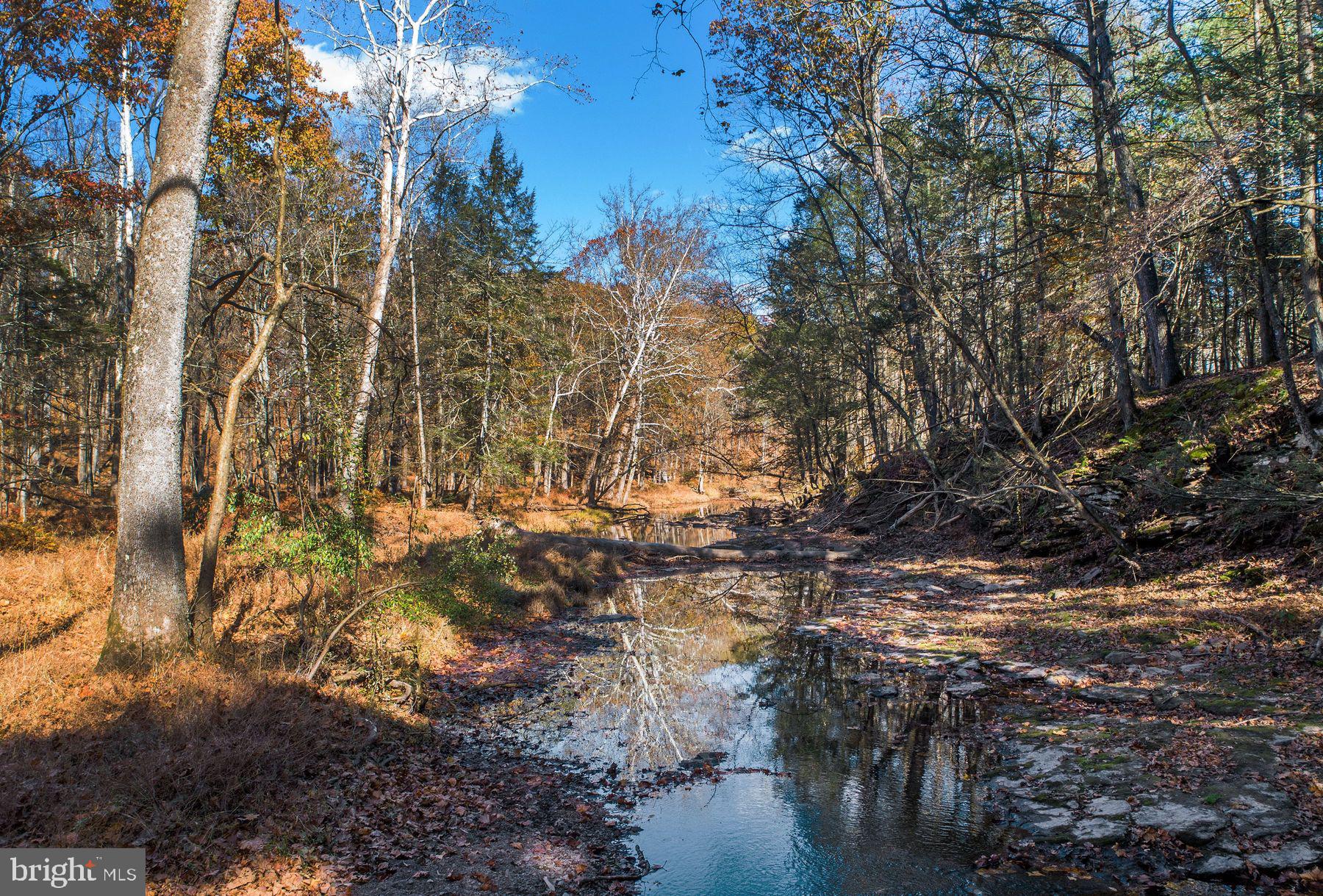 13 Lily Valley Road Erwinna, PA 18920 - Photo 4 of 18 a view of covered with trees