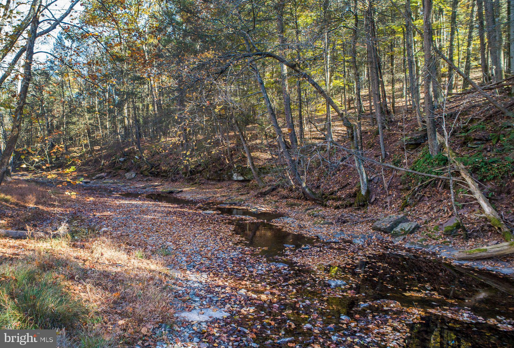 13 Lily Valley Road Erwinna, PA 18920 - Photo 5 of 18 a view of a yard with plants and trees