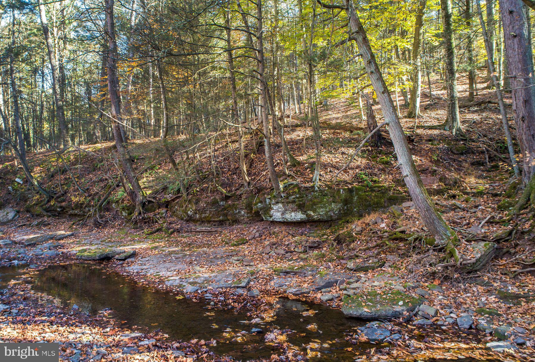 13 Lily Valley Road Erwinna, PA 18920 - Photo 6 of 18 a backyard of a house with lots of green space