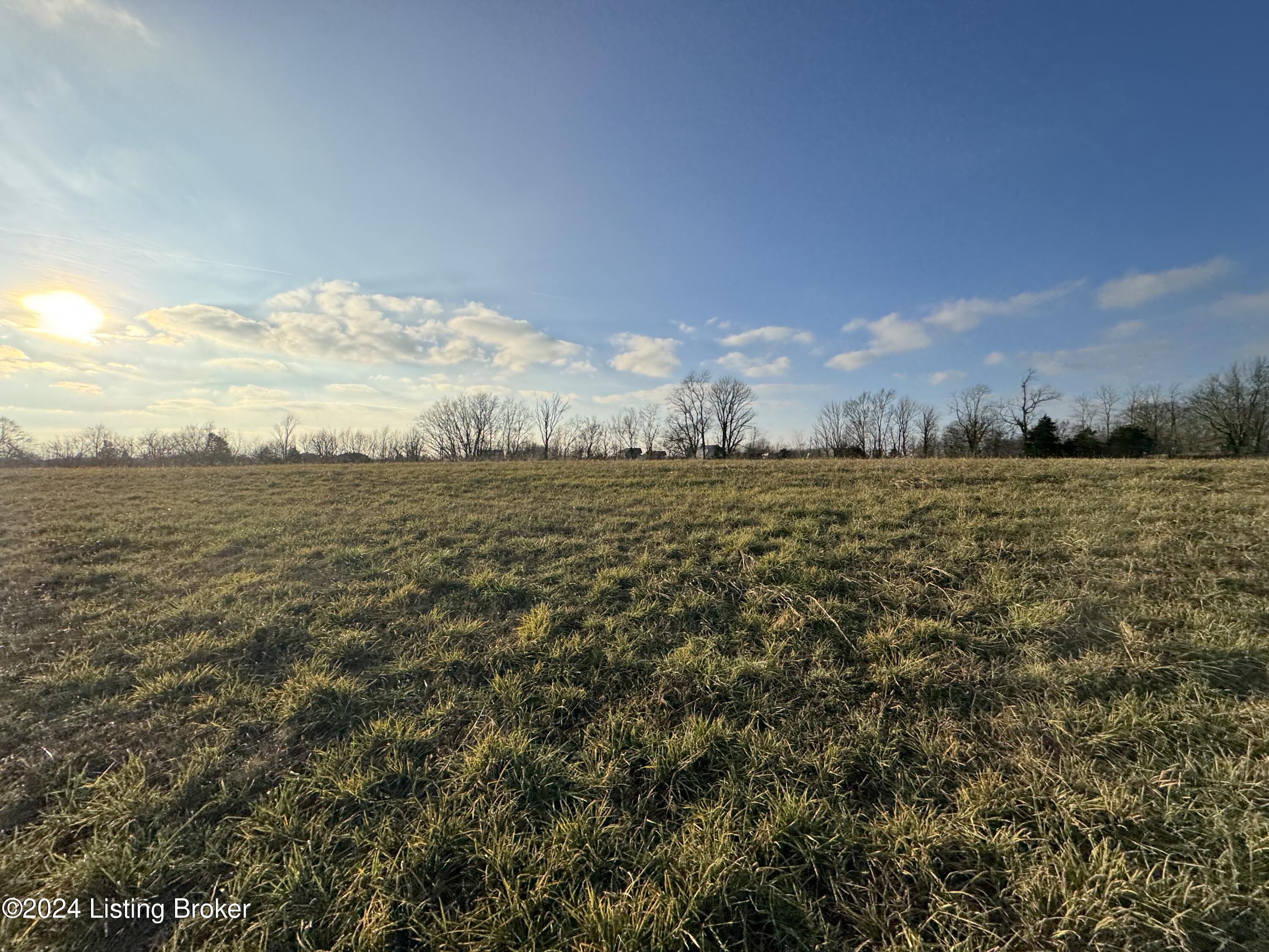 Lot 2 Mt Eden Road Waddy, KY 40076 - Photo 4 of 11 IMG_3985