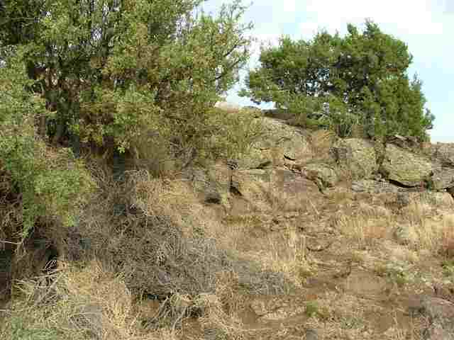 Lot 148 Pine Ridge Ranch Concho, AZ 85924 - Photo 21 of 23
