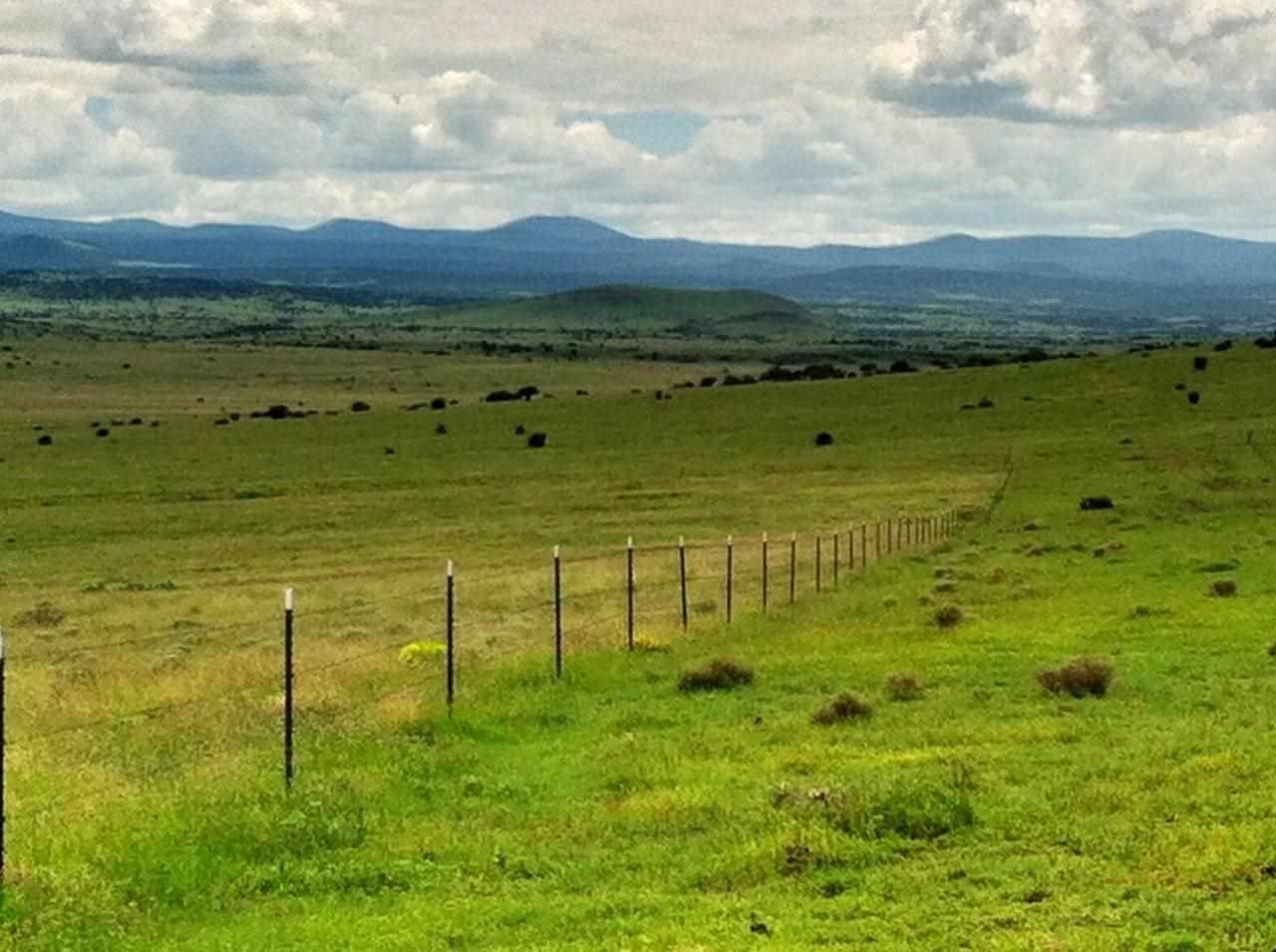 Lot 148 Pine Ridge Ranch Concho, AZ 85924 - Photo 3 of 23