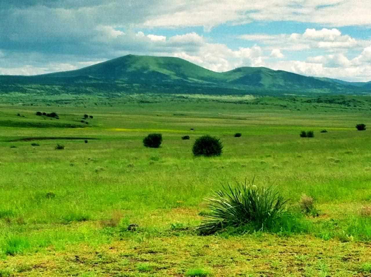 Lot 148 Pine Ridge Ranch Concho, AZ 85924 - Photo 4 of 23