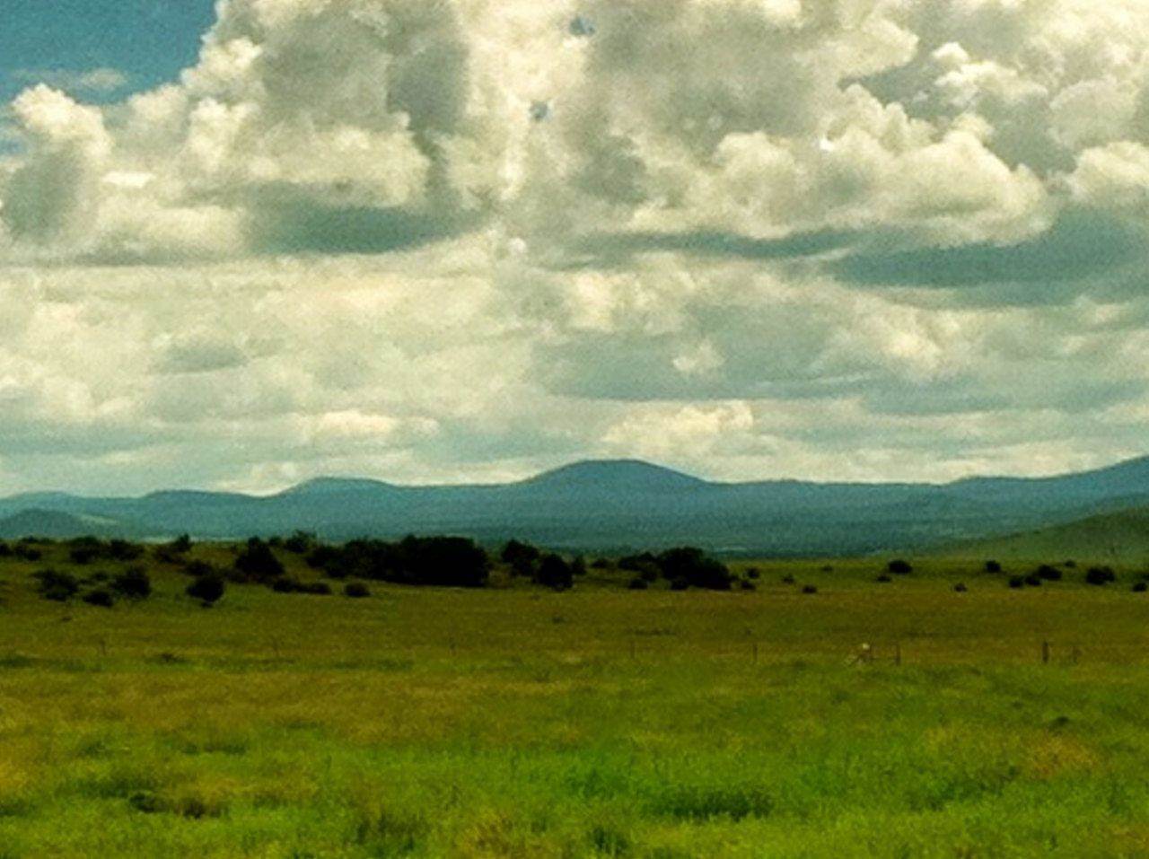 Lot 148 Pine Ridge Ranch Concho, AZ 85924 - Photo 6 of 23