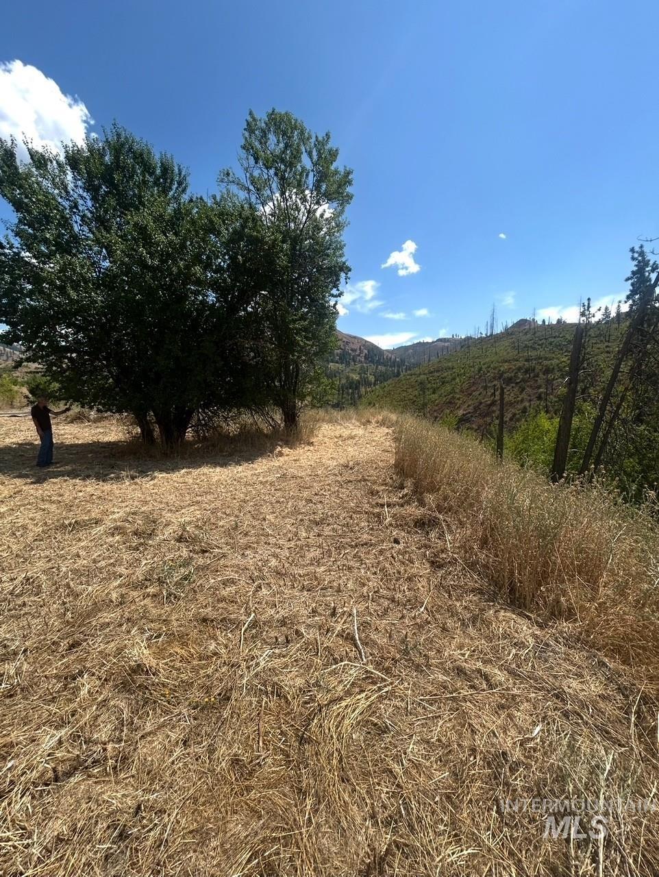 379 Glenwood Road Kamiah, ID 83536 - Photo 12 of 17 View of nature featuring rural landscape