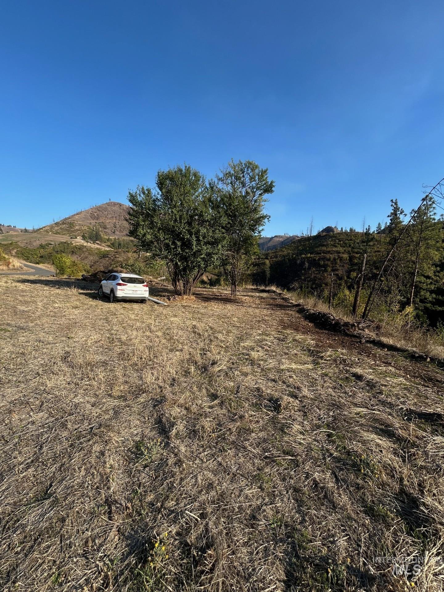 379 Glenwood Road Kamiah, ID 83536 - Photo 15 of 17 View of yard featuring a rural view