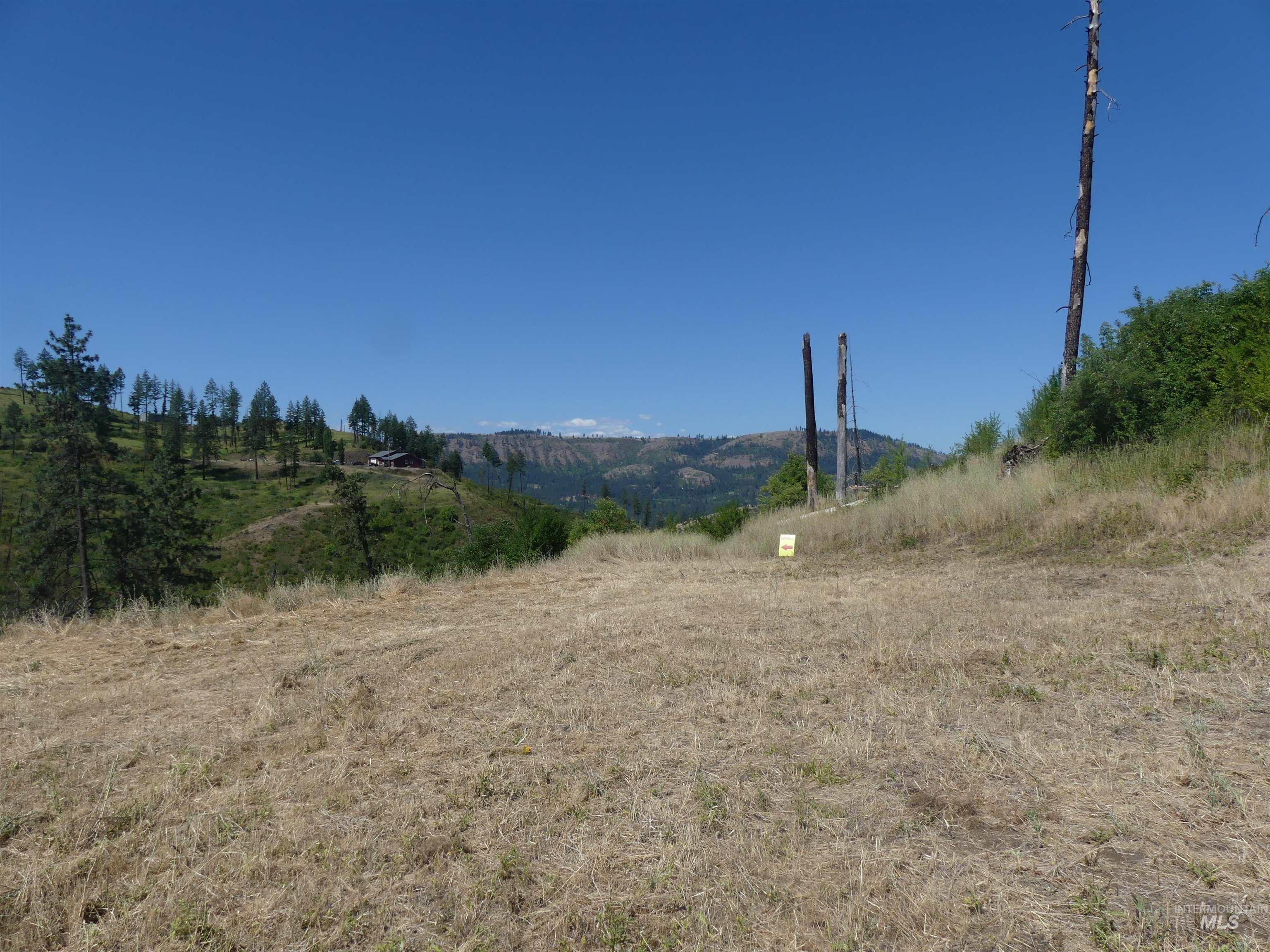 379 Glenwood Road Kamiah, ID 83536 - Photo 2 of 17 View of mountain background