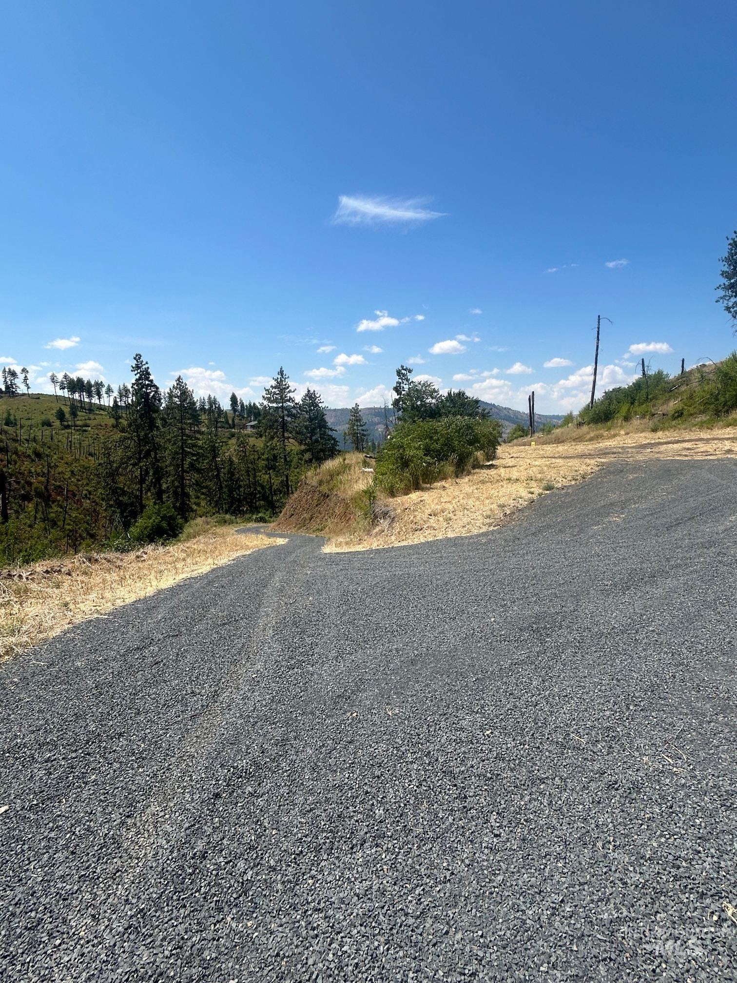 379 Glenwood Road Kamiah, ID 83536 - Photo 6 of 17 View of dirt / gravel road with a rural view