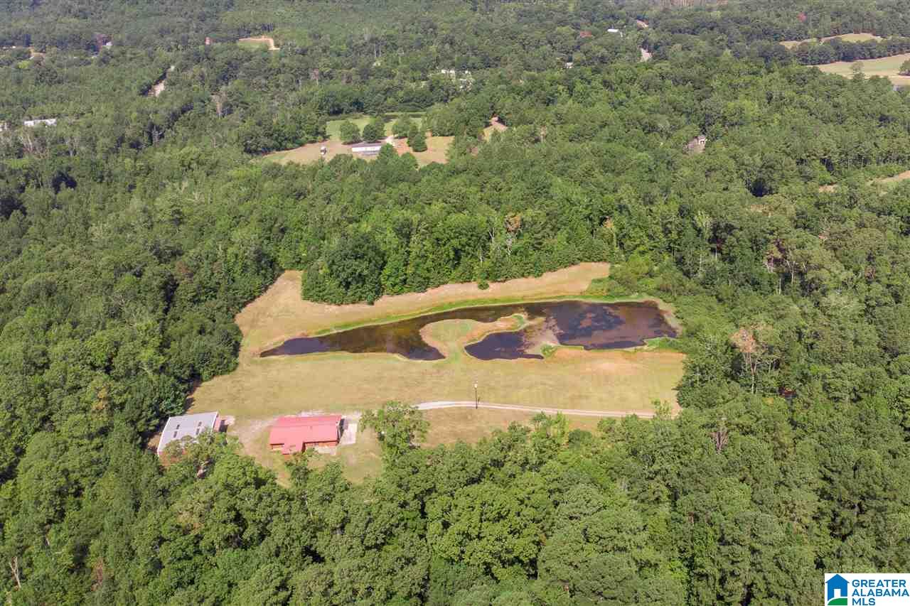 94 Rose Road Vincent, AL 35178 - Photo 34 of 40