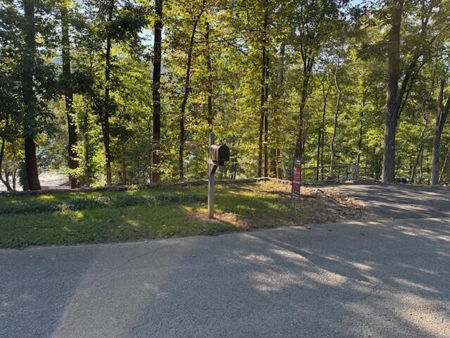 Lot 13 Mullins Cove Road, Unit 13 Whitwell, TN 37397 - Photo 2 of 7 7