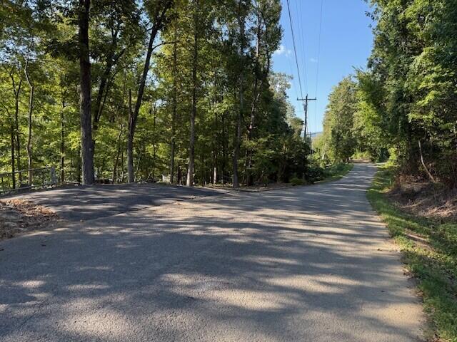 Lot 13 Mullins Cove Road, Unit 13 Whitwell, TN 37397 - Photo 6 of 7 6