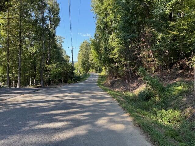 Lot 13 Mullins Cove Road, Unit 13 Whitwell, TN 37397 - Photo 7 of 7 1