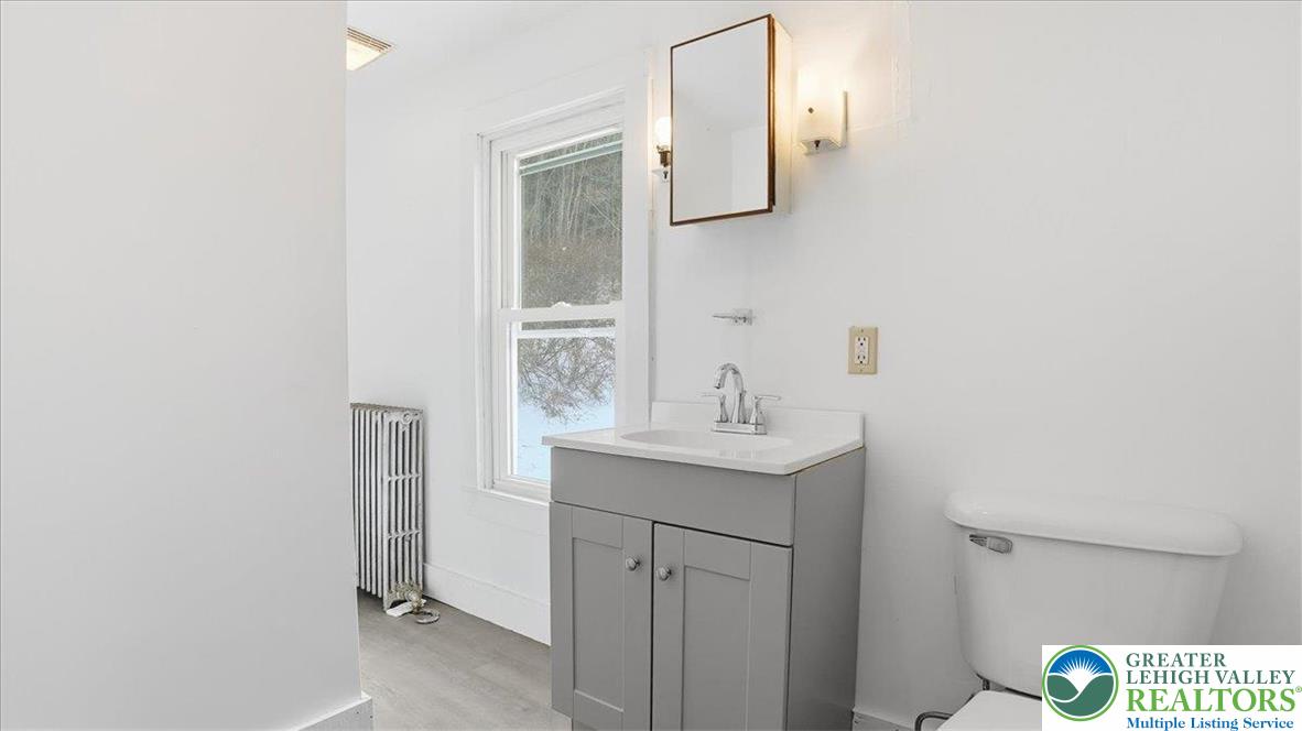 1032 Clamtown Road New Ringgold, PA 17960 - Photo 38 of 68 a bathroom with a sink a toilet and mirror