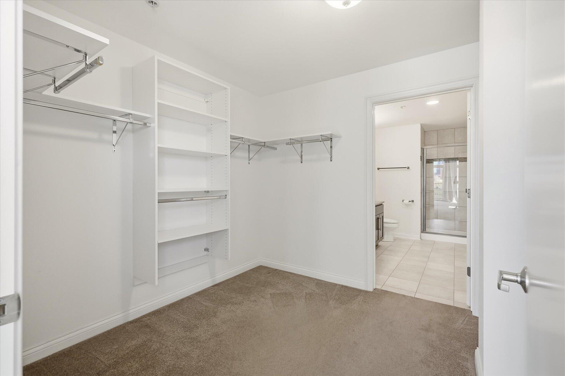 106 West Seeboth Street, Unit 920 Milwaukee, WI 53204 - Photo 19 of 51 Huge walk in closet