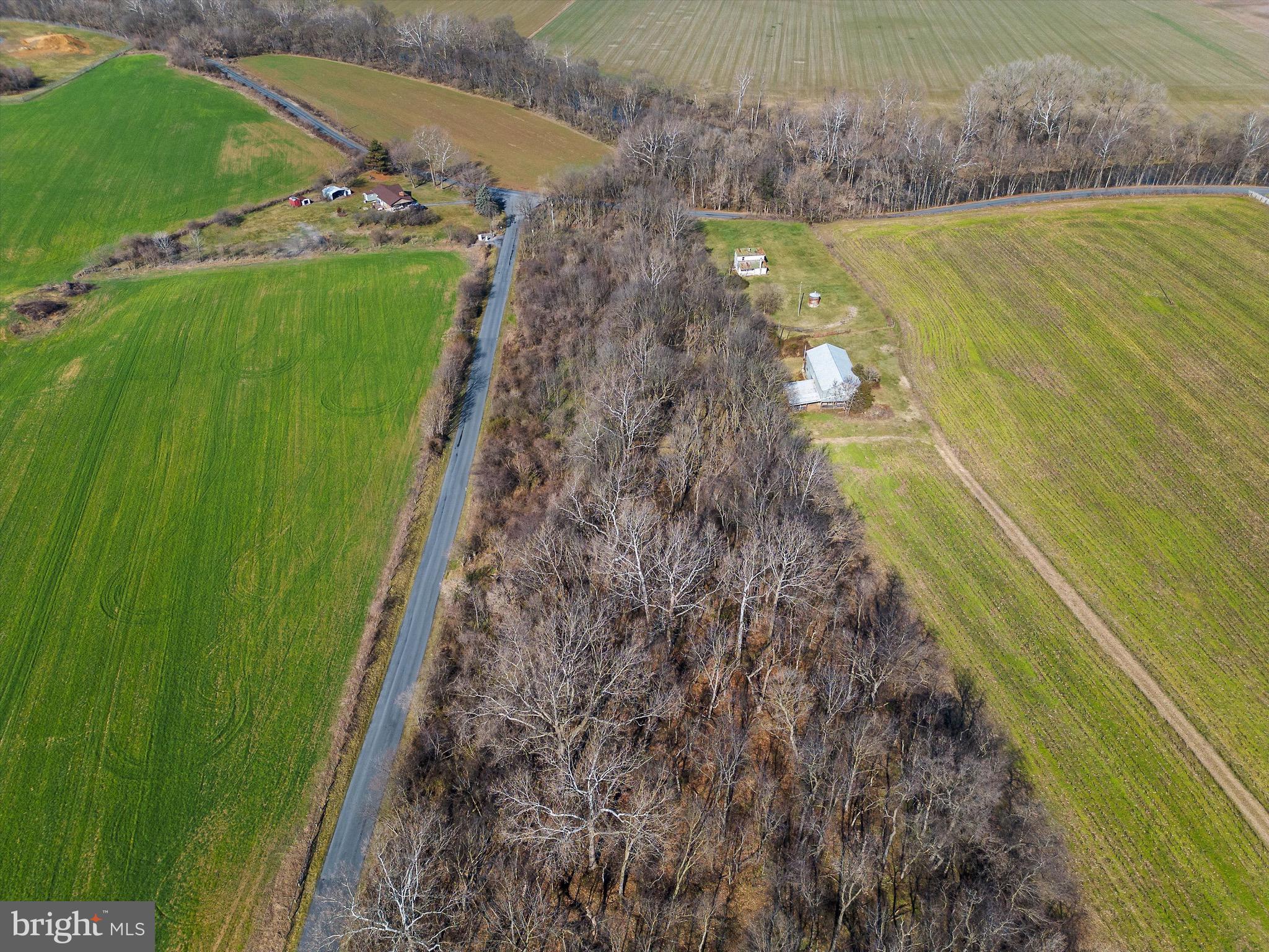 Lot 21 Red Banks Road Mount Jackson, VA 22842 - Photo 11 of 15 Gallery Image 11