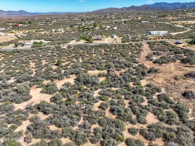 an aerial view of residential houses with outdoor space and trees