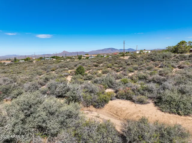 an aerial view of a large trees
