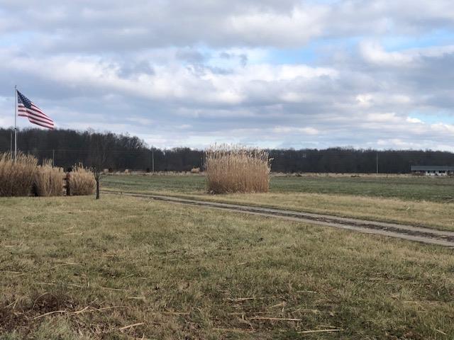 0 Ridge Lane Sunman, IN 47041 - Photo 4 of 10