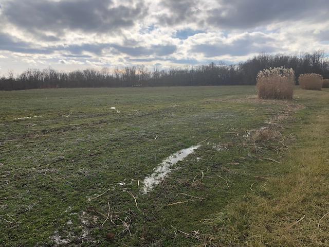 0 Ridge Lane Sunman, IN 47041 - Photo 5 of 10