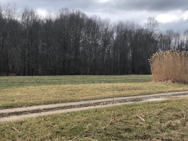 0 Ridge Lane Sunman, IN 47041 - Photo 7 of 10